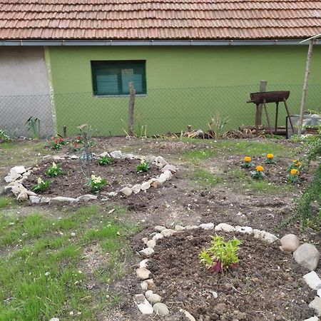Apartamento Stancic 019 Zaječar Exterior foto