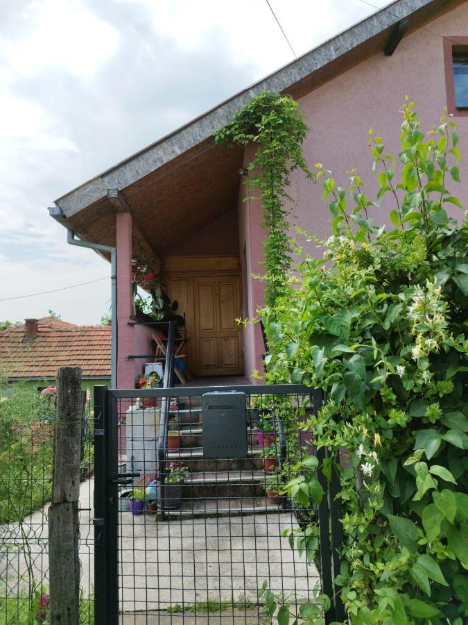 Apartamento Stancic 019 Zaječar Exterior foto