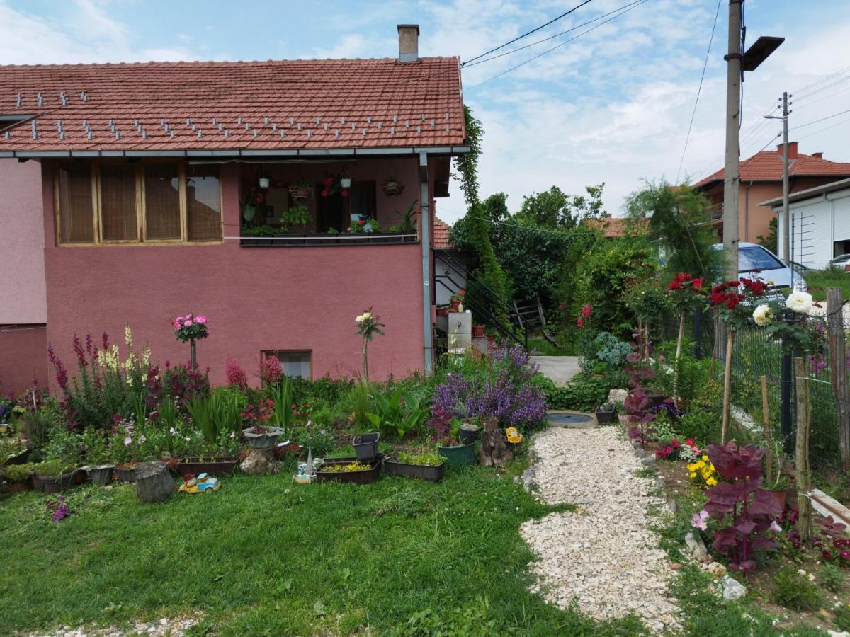 Apartamento Stancic 019 Zaječar Exterior foto