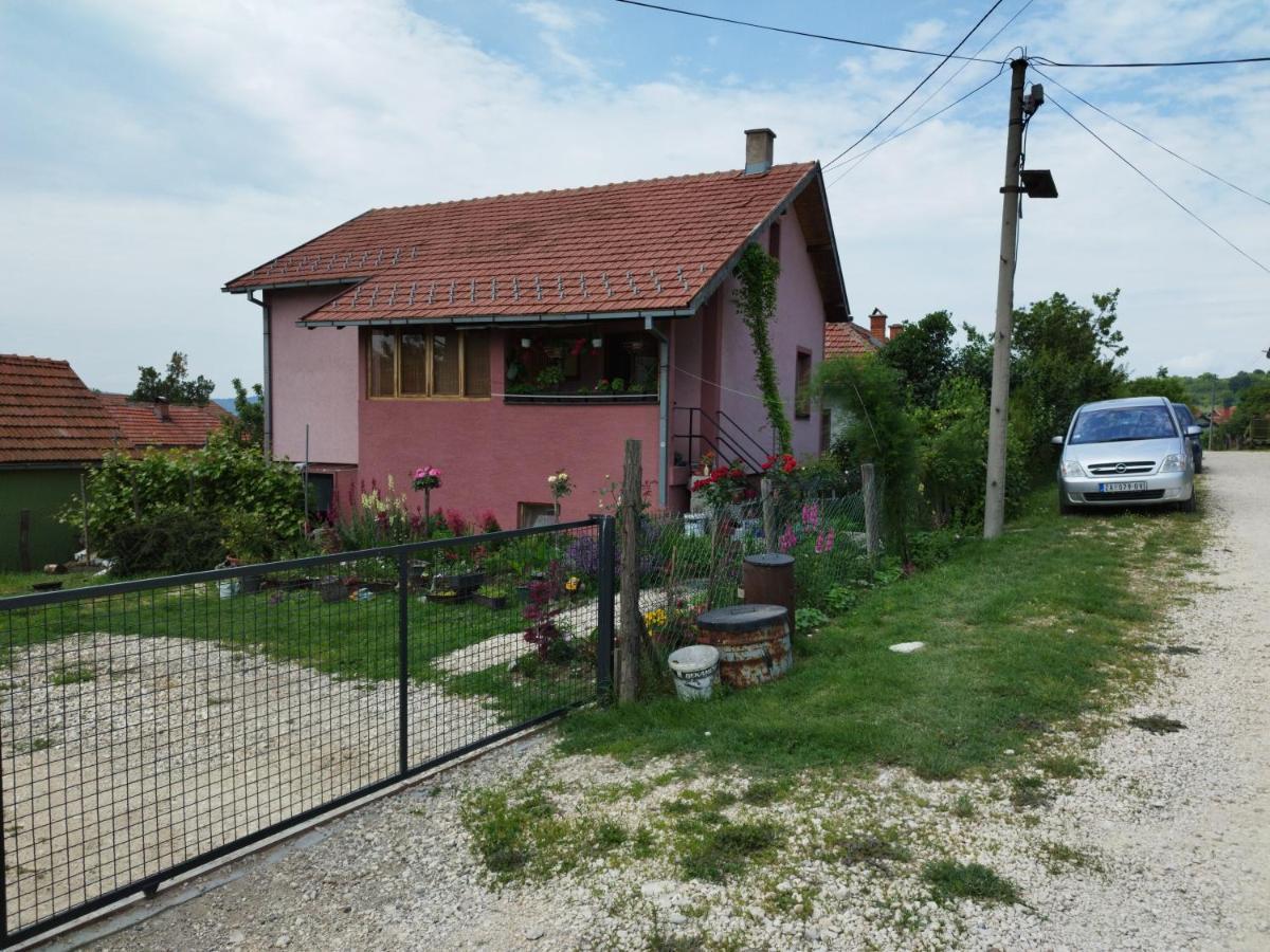 Apartamento Stancic 019 Zaječar Exterior foto
