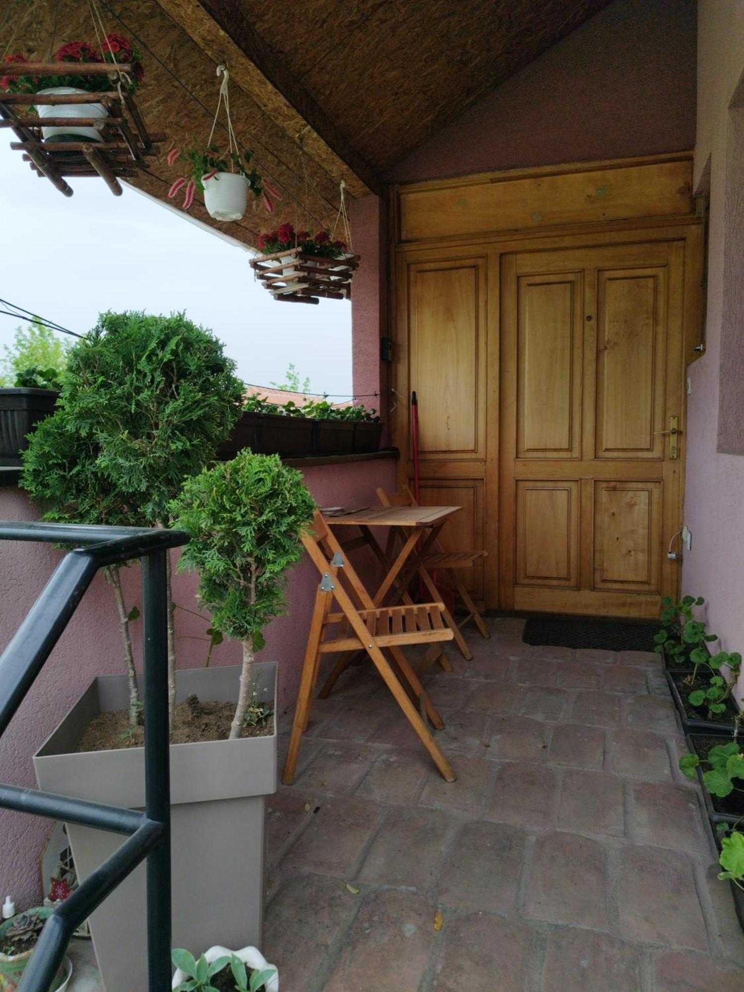 Apartamento Stancic 019 Zaječar Exterior foto