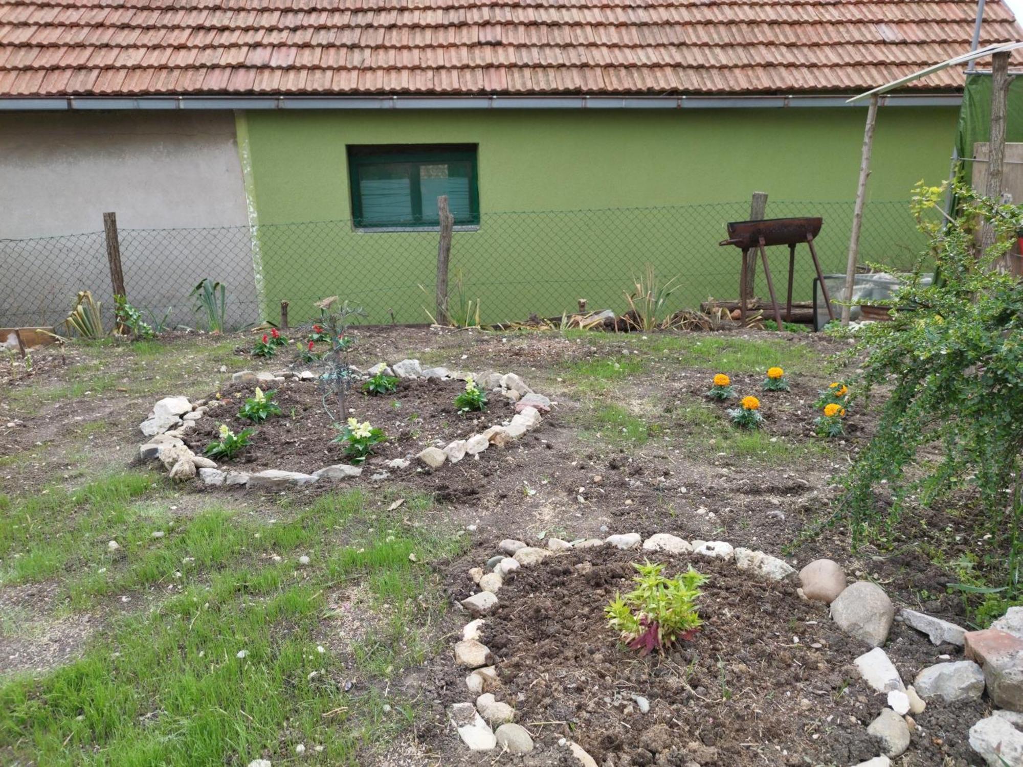 Apartamento Stancic 019 Zaječar Exterior foto